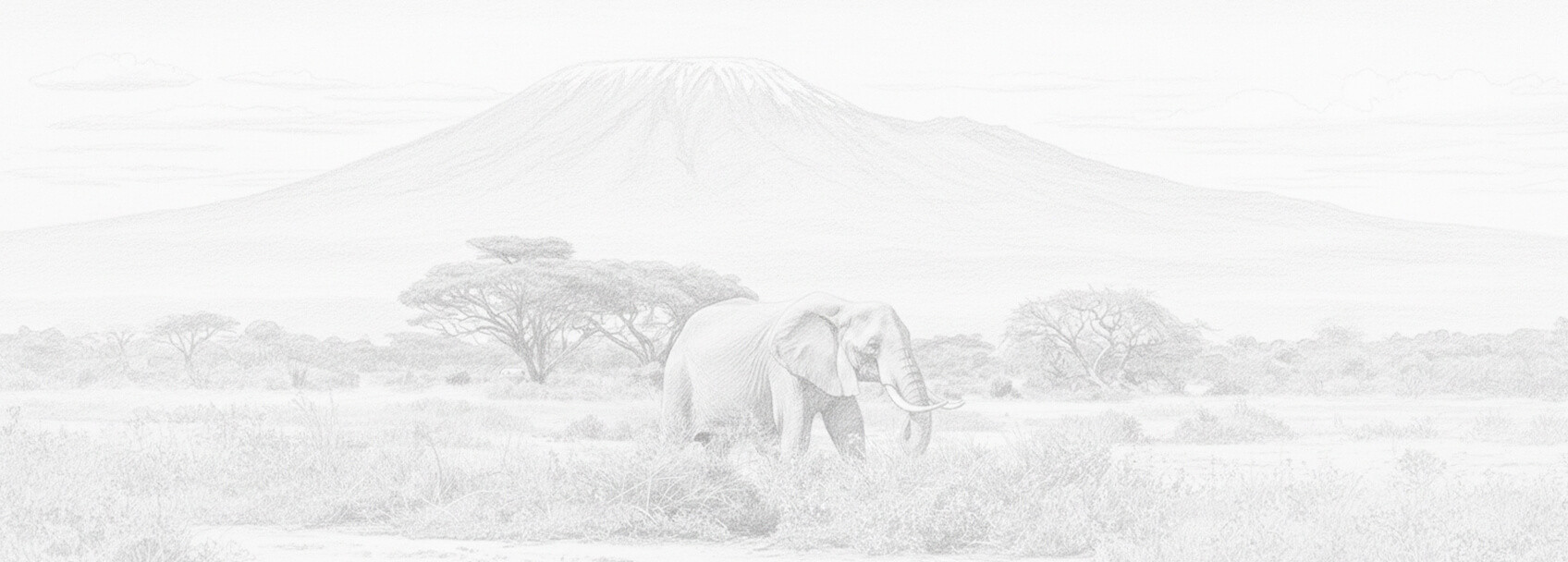 Solicitud de visa y requisitos República de Camerún